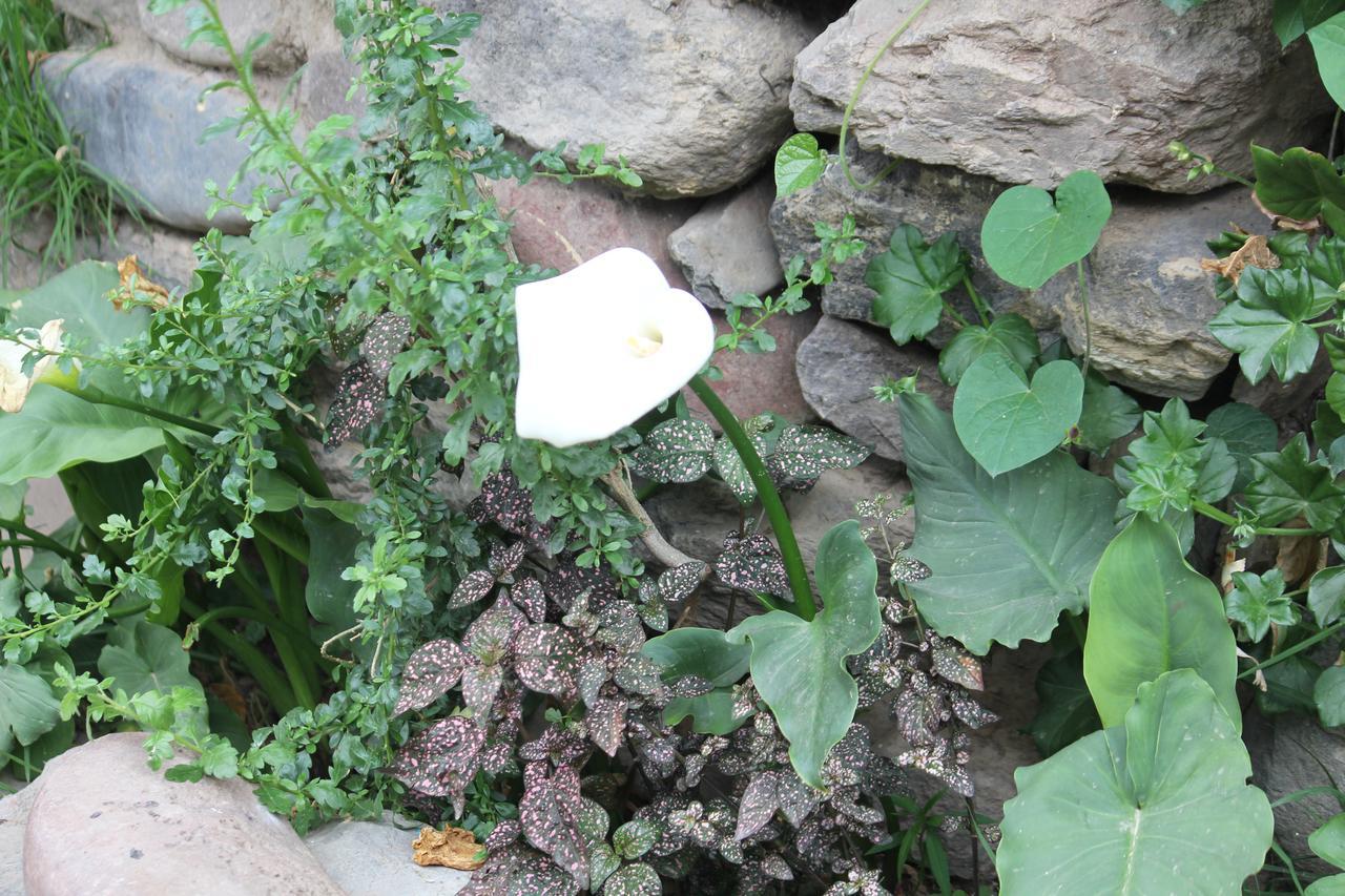 Killari B&B Ollantaytambo Luaran gambar
