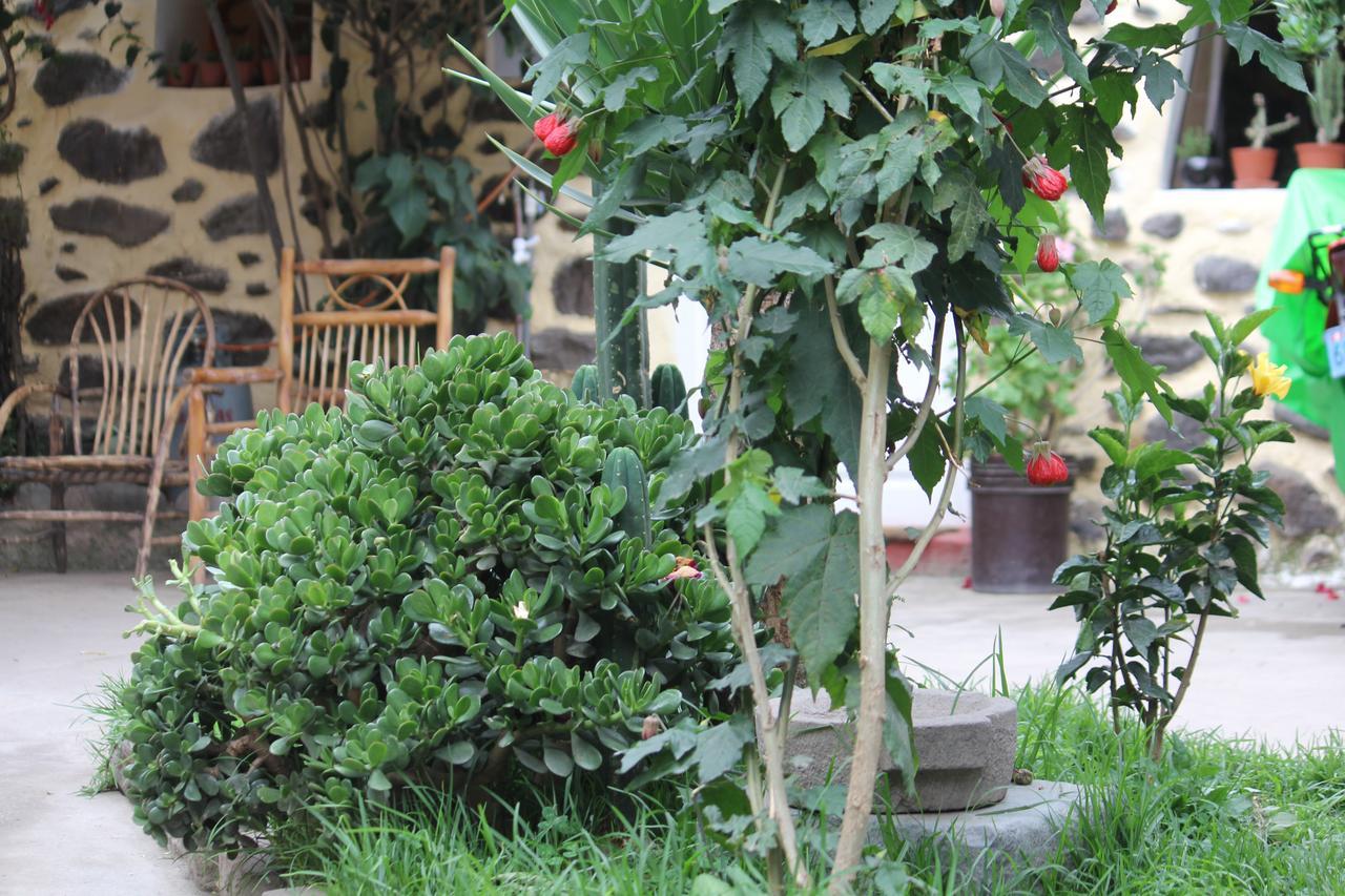 Killari B&B Ollantaytambo Luaran gambar